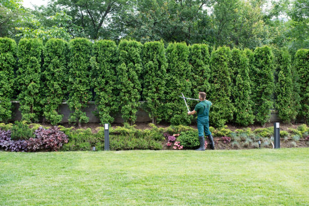 Best Lawn Irrigation Installation and Maintenance  in Croton On Hudson, NY